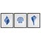 Stupell Industries Blue Chinoiserie Seashells 3pc Framed Print Under Glass Set, design by Courtney Prahl